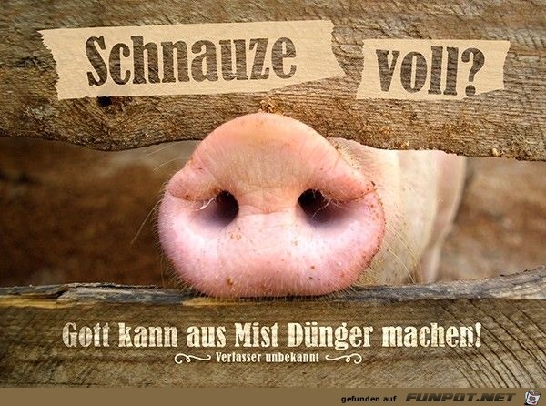Gott kann aus Mist Gott kann aus Mist