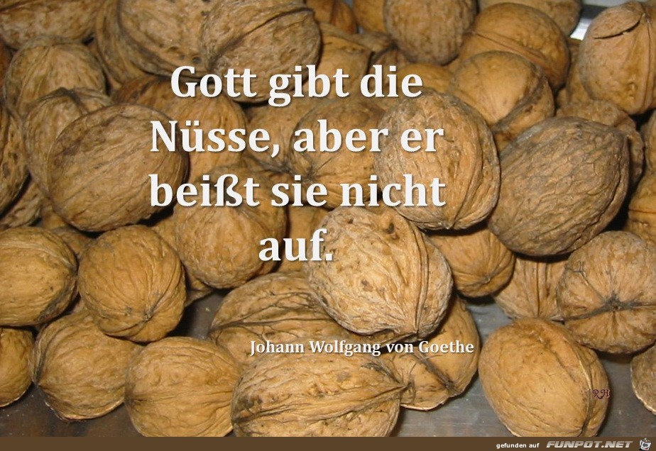 gott gibt die nuesse gott gibt die nuesse