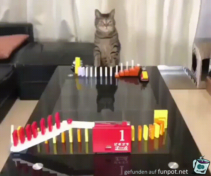 Domino Domino