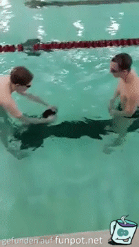 Badekappe Badekappe