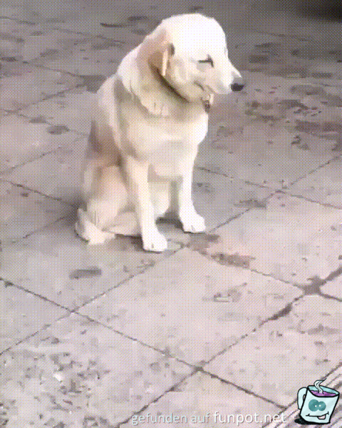 Müde Müde