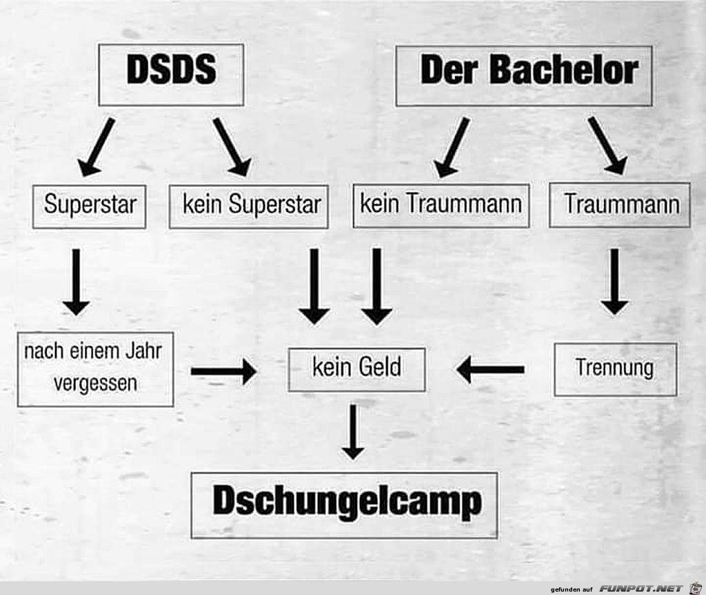 Wie man zum Dschungelcamp kommt