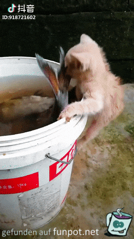Entweder zu klein oder zu groß Entweder zu klein oder zu groß