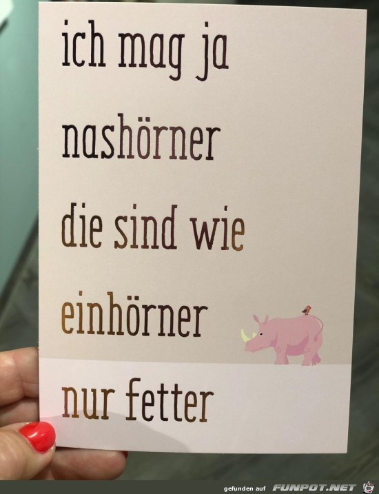 Nashörner Nashörner
