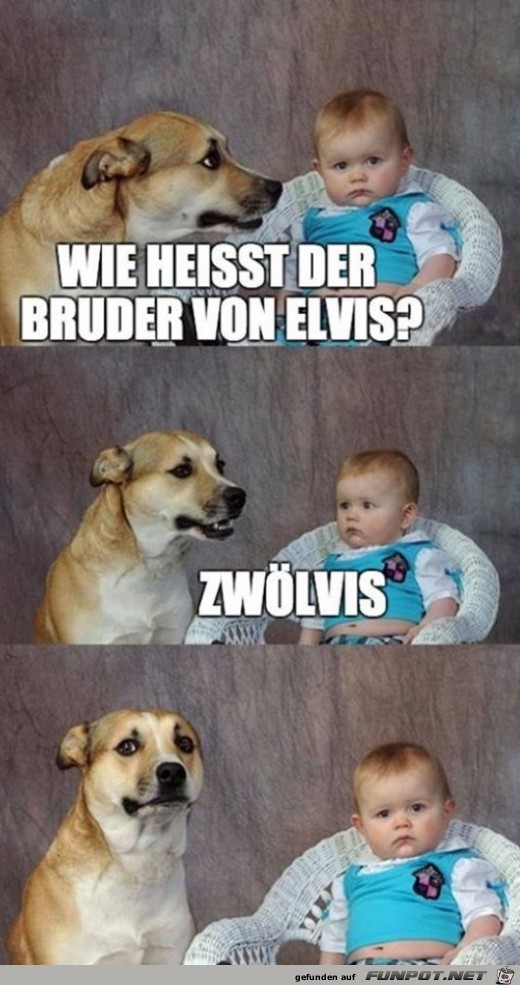 Sowas Blödes Sowas Blödes
