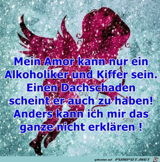 Mein Amor kann nur Mein Amor kann nur