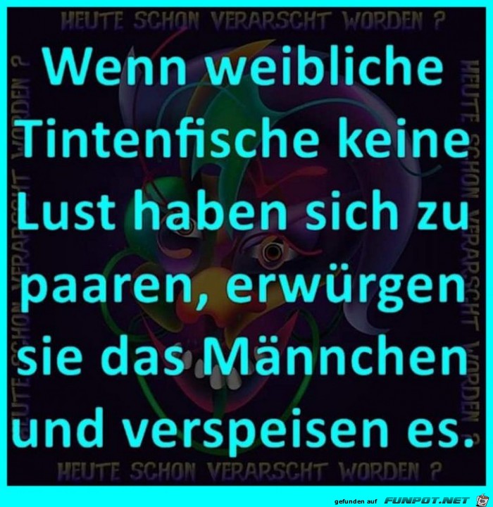 Tintenfisch Tintenfisch