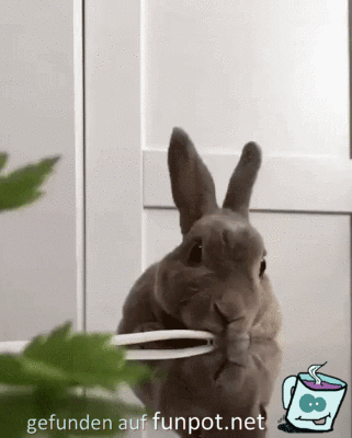 das schmeckt das schmeckt
