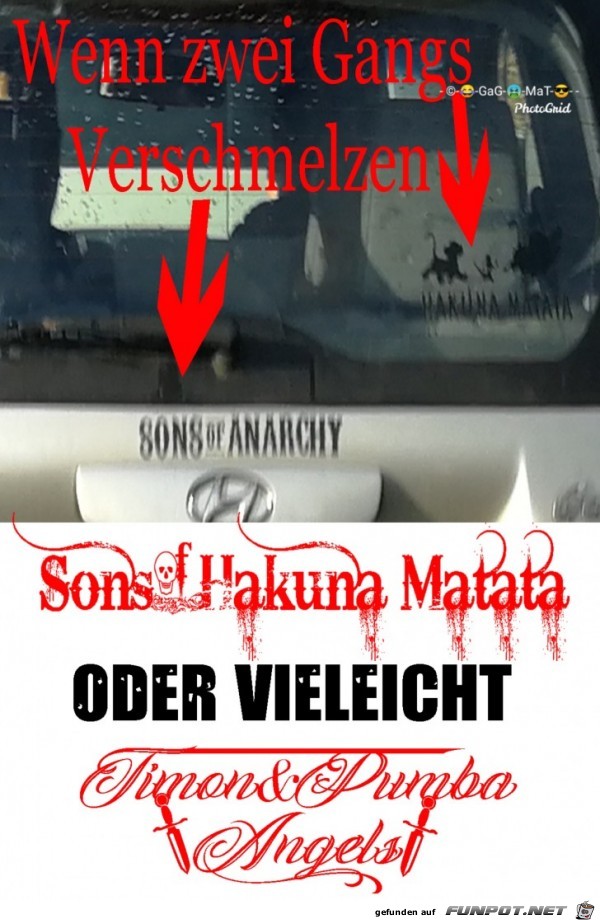 Sons of Hakuna Matata