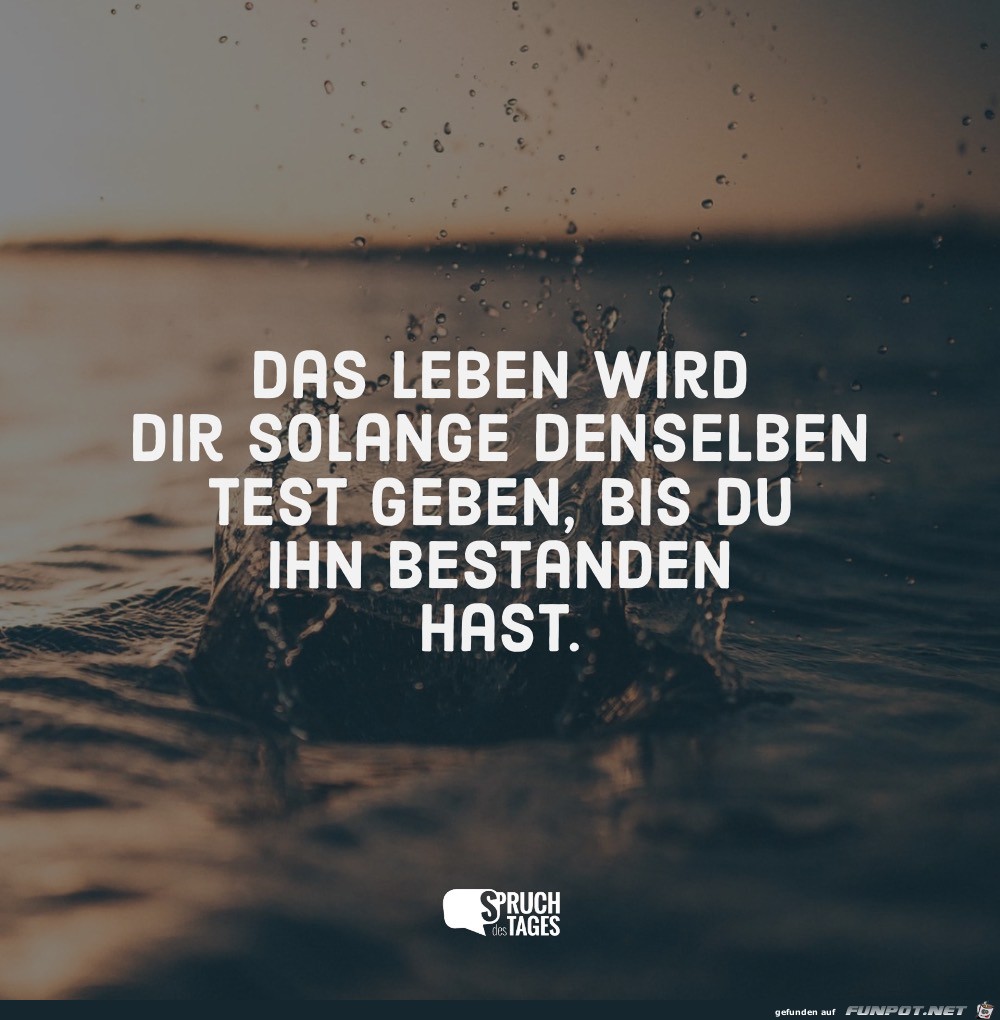 das leben wird das leben wird