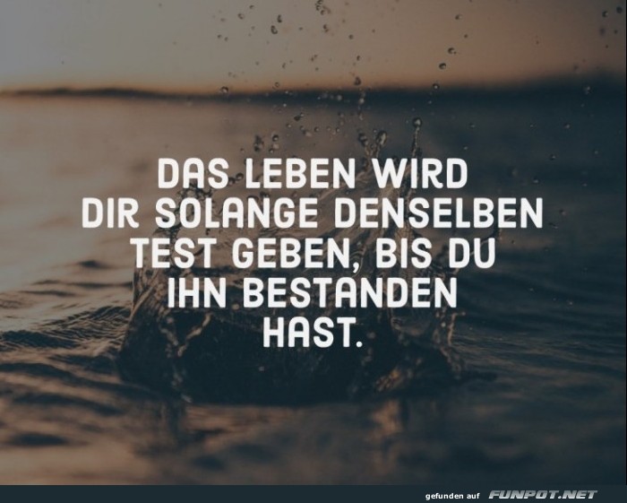 10 schöne Sprüche und Lebensweisheiten aus... 10 schöne Sprüche und Lebensweisheiten aus...