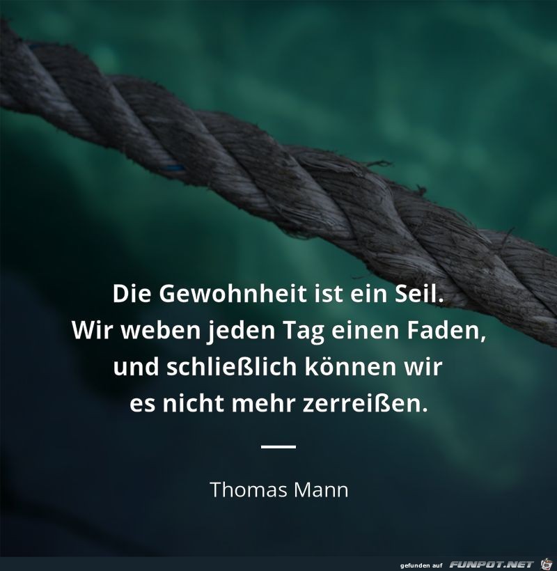 die gewohnnheit die gewohnnheit