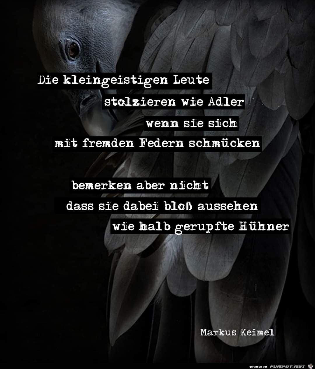 die kleingeistigen leute die kleingeistigen leute