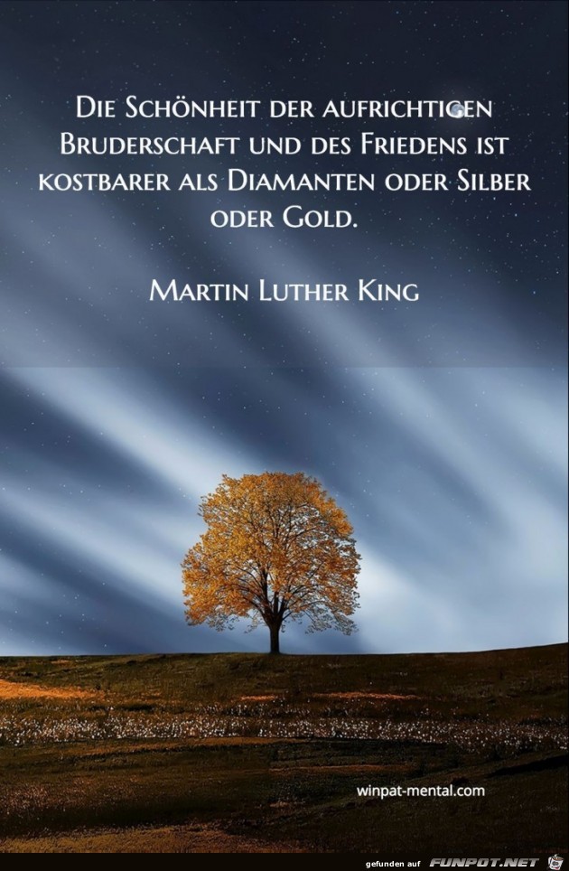die Schoenheit der aufrichtigen die Schoenheit der aufrichtigen