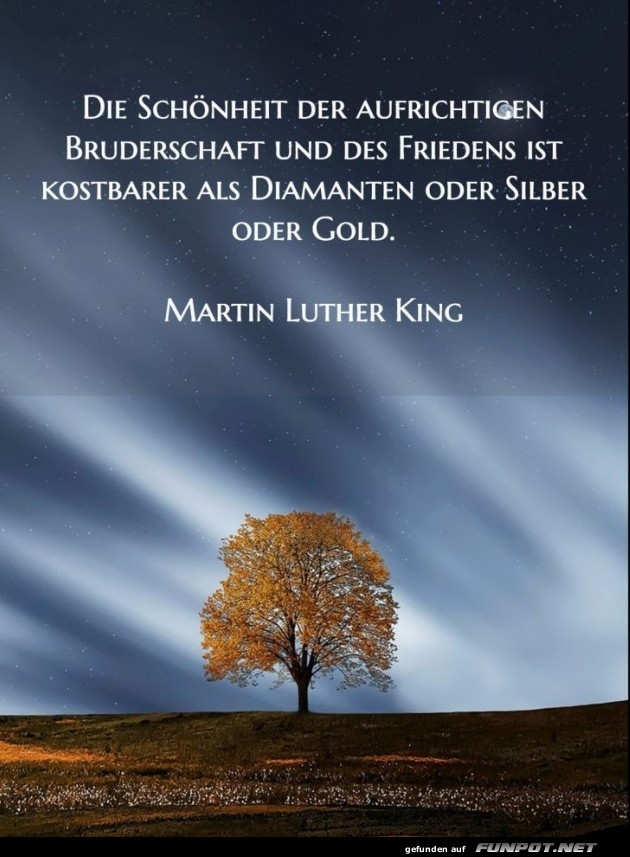 10 sch�ne Spr�che und Lebensweisheiten aus...