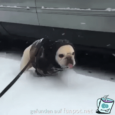 Lästig der Schnee Lästig der Schnee