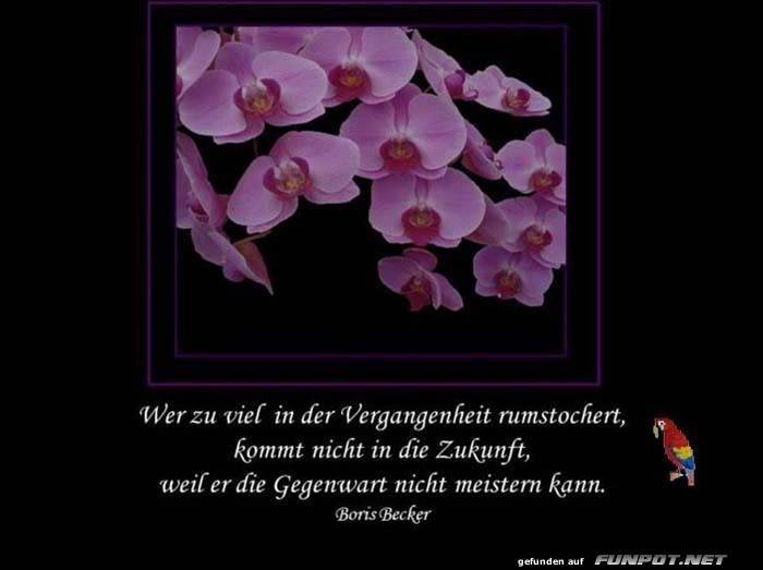 Vergangenheit Vergangenheit