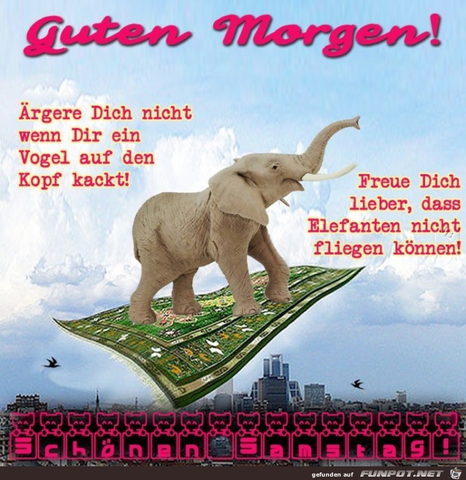 Samstag Samstag