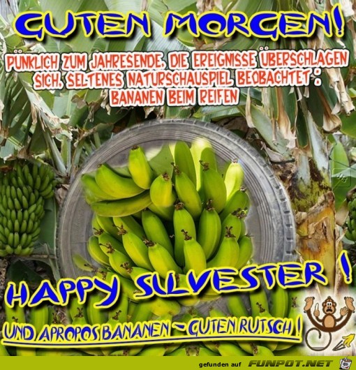 Silvester Silvester