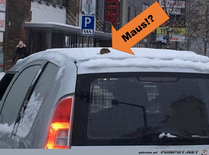 wie kommt die Maus dahin? wie kommt die Maus dahin?