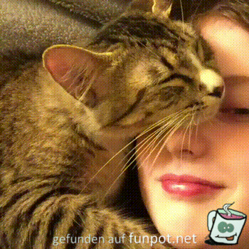 Bleib hier Bleib hier