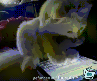 Wo ist mein Eintrag Wo ist mein Eintrag