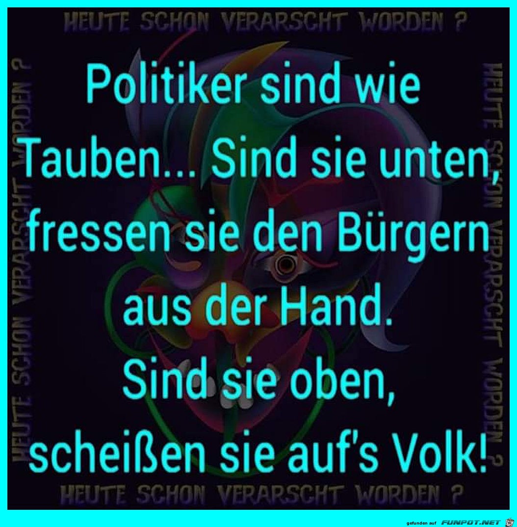 Vergleich Politiker und Tauben Vergleich Politiker und Tauben