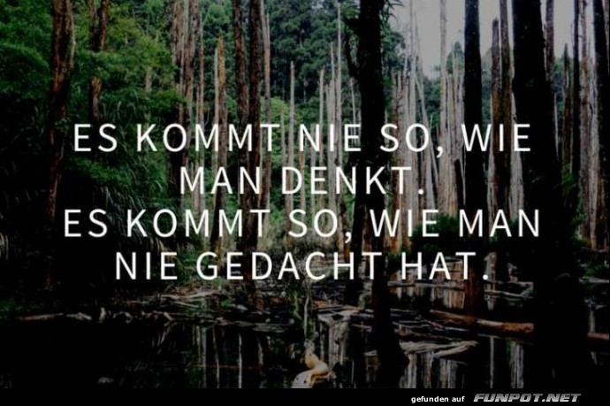 10 sch�ne Spr�che und Lebensweisheiten aus...