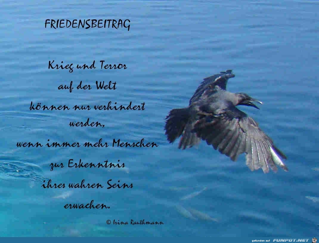 Friedensbeitrag Friedensbeitrag
