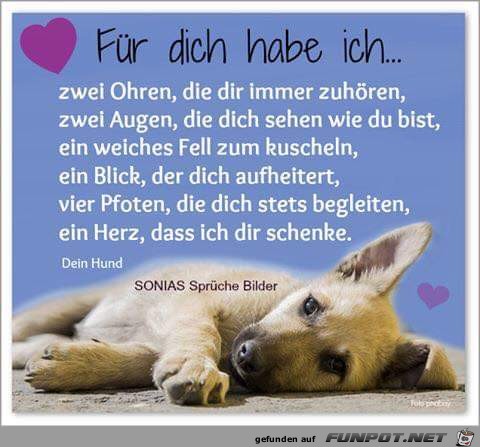 fuer dich fuer dich
