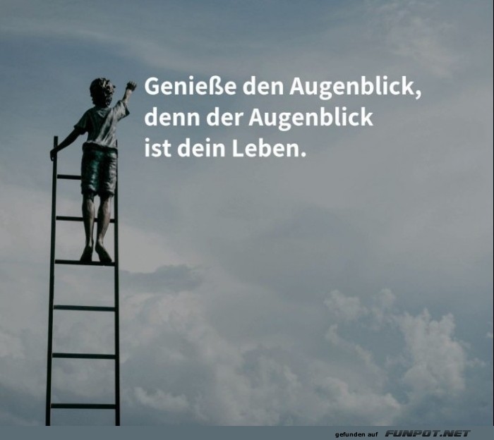 10 sch�ne Spr�che und Lebensweisheiten aus...