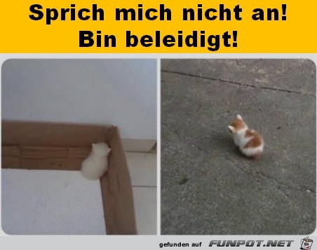 Sprich mich nicht an Sprich mich nicht an