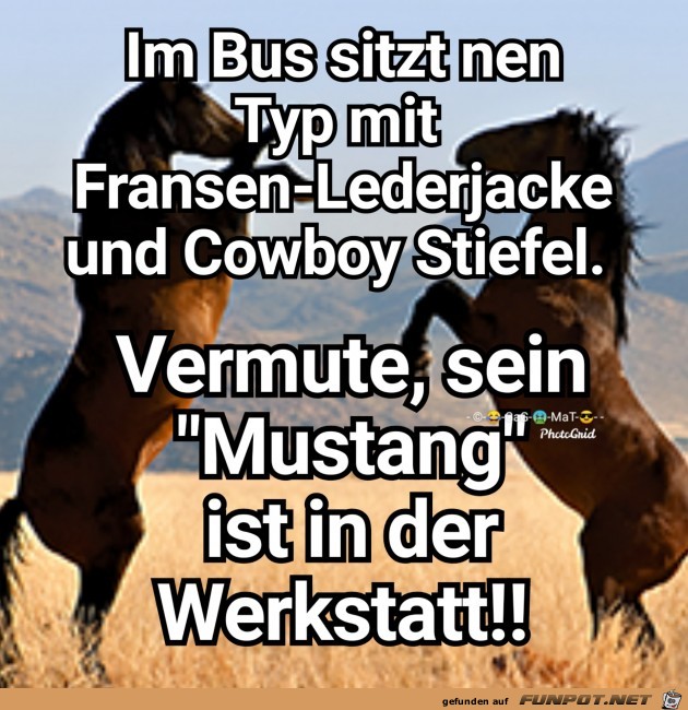 Cowboy Cowboy