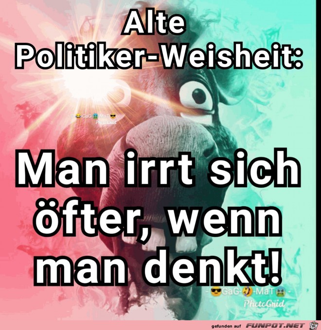Weisheit Weisheit