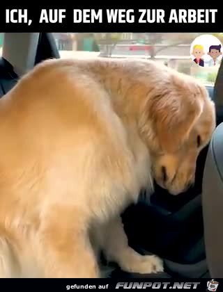 auf dem Weg zur Arbeit auf dem Weg zur Arbeit