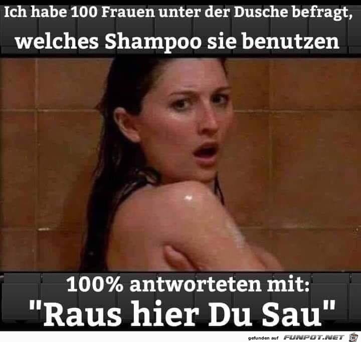 Shampoo Shampoo