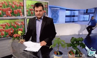 Das hat jetzt nicht so viel gebracht Das hat jetzt nicht so viel gebracht