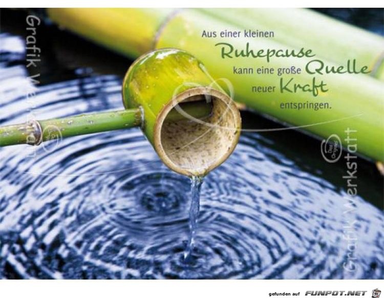 aus einer kleinen ruhepause aus einer kleinen ruhepause