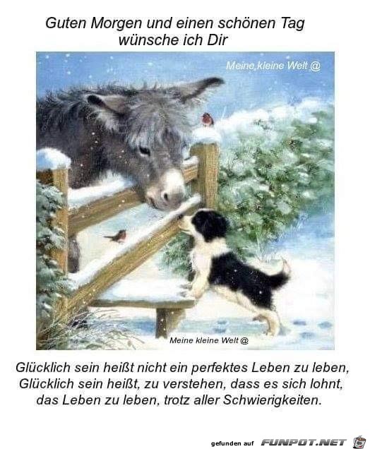 Gluecklich sein hei sst nicht Gluecklich sein hei sst nicht
