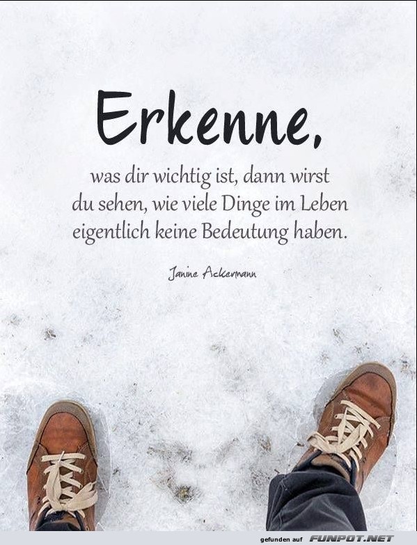 10 sch�ne Spr�che und Lebensweisheiten aus...
