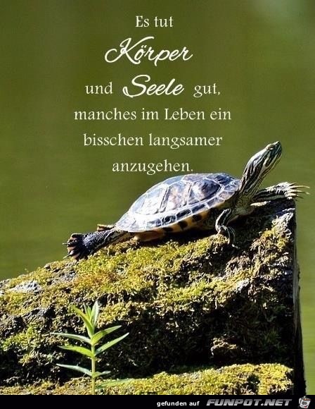 es tut koerper und seele gut es tut koerper und seele gut