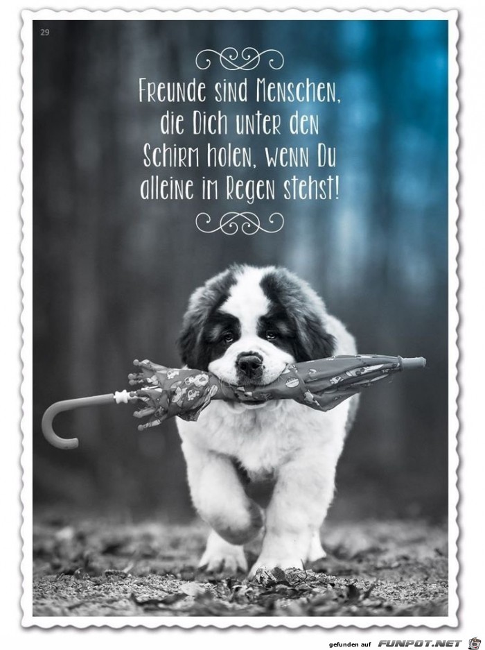 freunde sind menschen freunde sind menschen