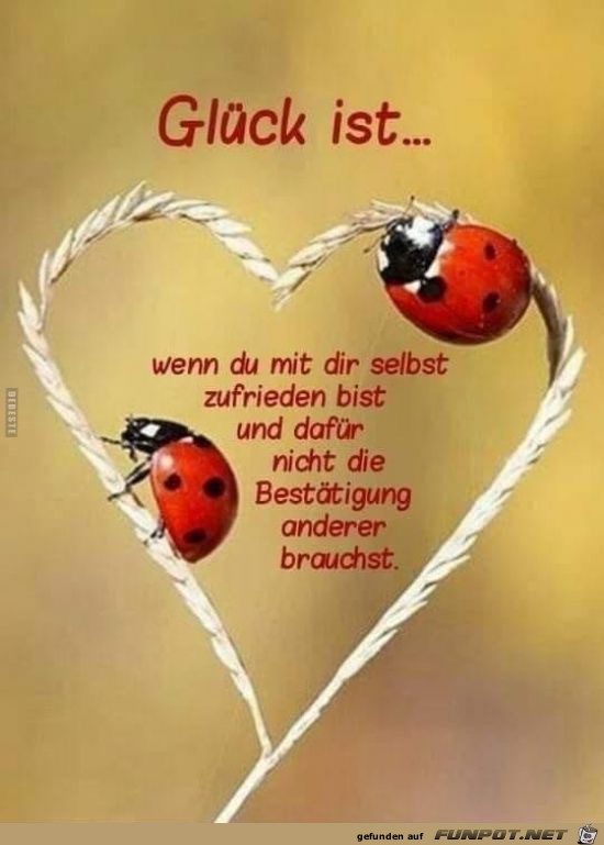 glueck ist wenn du mit dir selbst zufrieden bist glueck ist wenn du mit dir selbst zufrieden bist