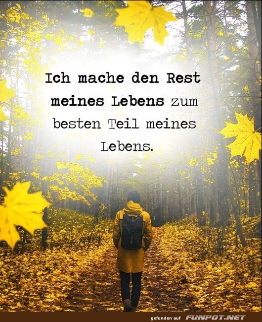 10 sch�ne Spr�che und Lebensweisheiten aus...