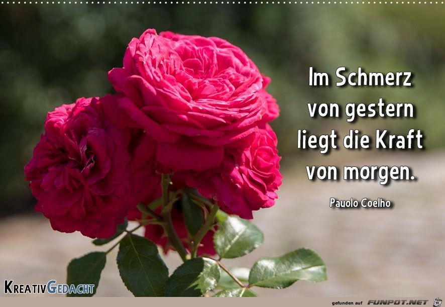 im Schmerz im Schmerz