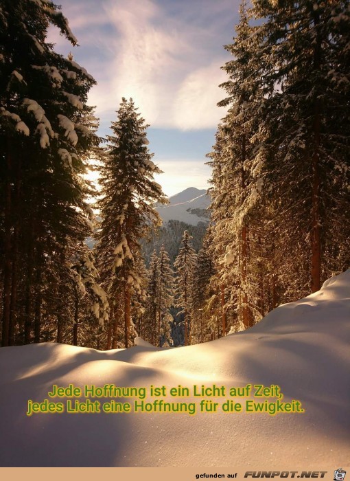 jede Hoffnung jede Hoffnung