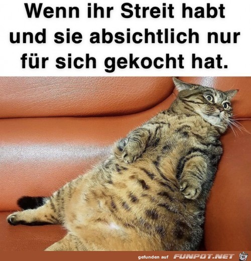 Nur fr sich gekocht