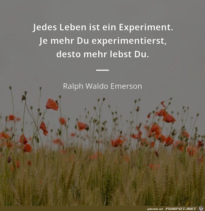 jedes Leben ist ein Experiment