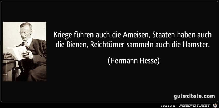 kriege fuehren auch kriege fuehren auch