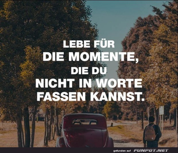 10 schöne Sprüche und Lebensweisheiten aus... 10 schöne Sprüche und Lebensweisheiten aus...
